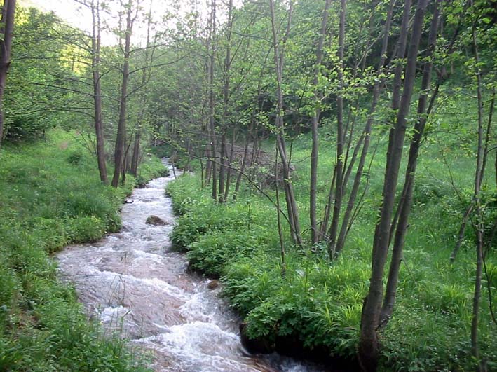 Akcija čišćenja Dragušnice