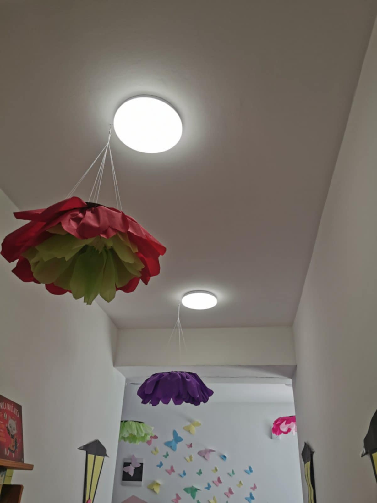 ce8da3d8-b3a8-4a1e-a60e-976ebb3131d2.jpg